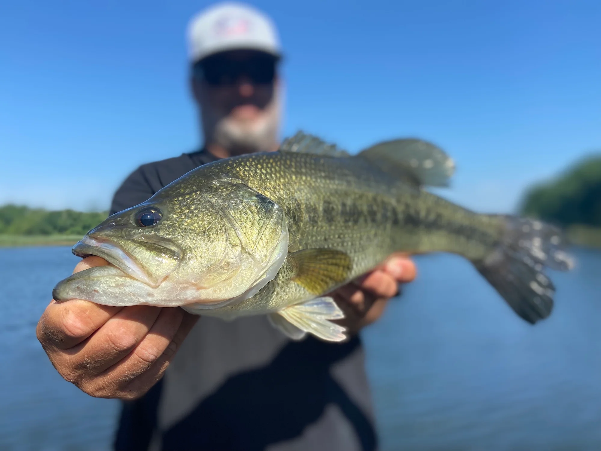 Fishing
